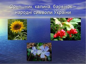 /Files/images/img10.jpg
