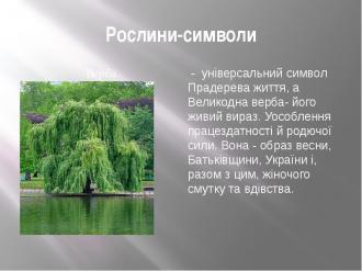 /Files/images/img9.jpg